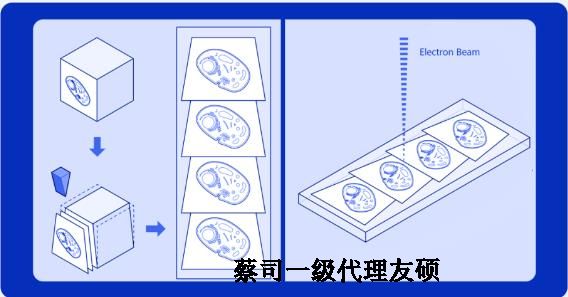 衢州蔡司衢州扫描电镜