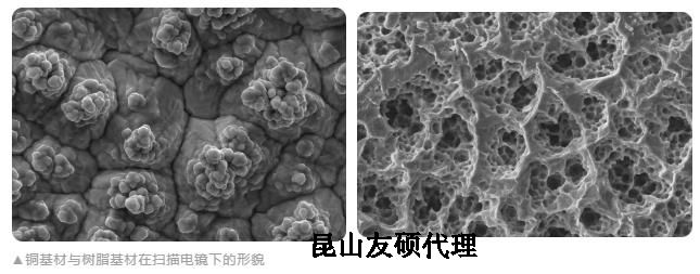 衢州蔡司衢州扫描电镜