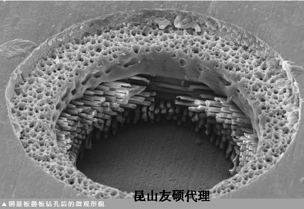 衢州蔡司衢州扫描电镜